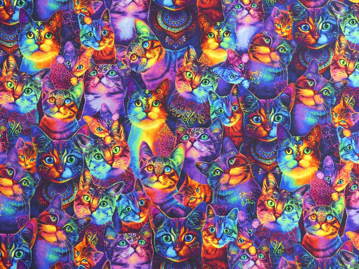Patchworkstoff mit frechen Katzen in Neonfarben Von Timeless Treasures